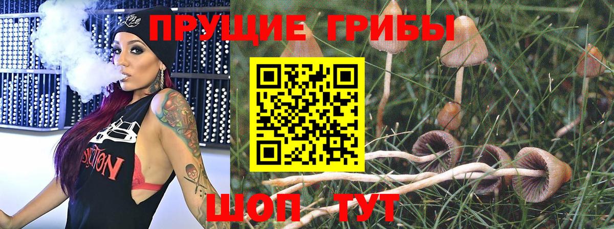 Махачкала  Псилоцибиновые грибы GOLDEN TEACHER  Галлюциногенные грибы Magic Shrooms  Вход с VPN 