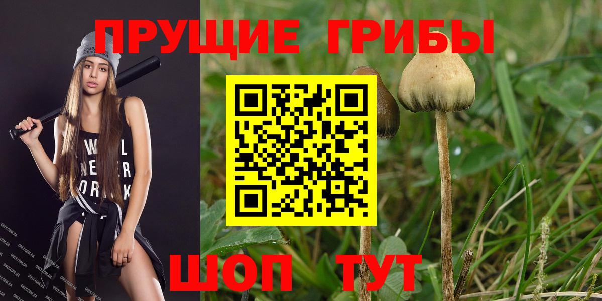 Псилоцибиновые грибы GOLDEN TEACHER Махачкала